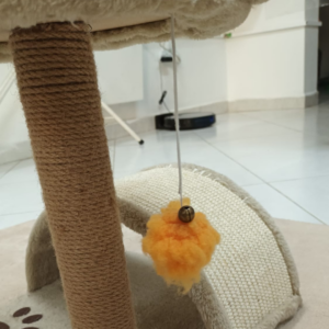 Single-Perch Scratching Post