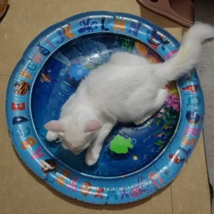 Fish-Filled Water Mat