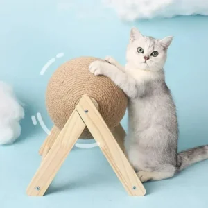 Scratching Ball on Stand