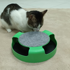Cat Turntable Toy Cum Scratching Board
