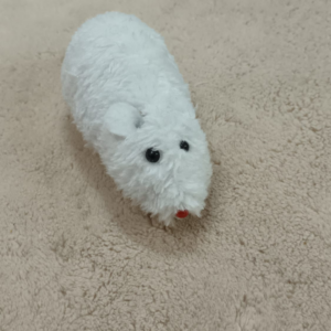 Fur-Coated Plastic Mouse