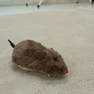 Wind-up Mouse Toy